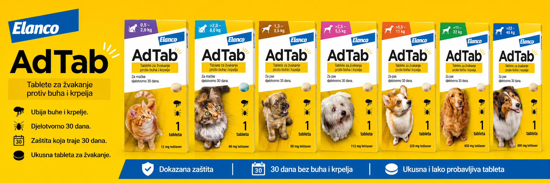 ad tab banner.png